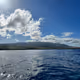 DreamingInParadise