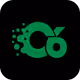 C6Digital
