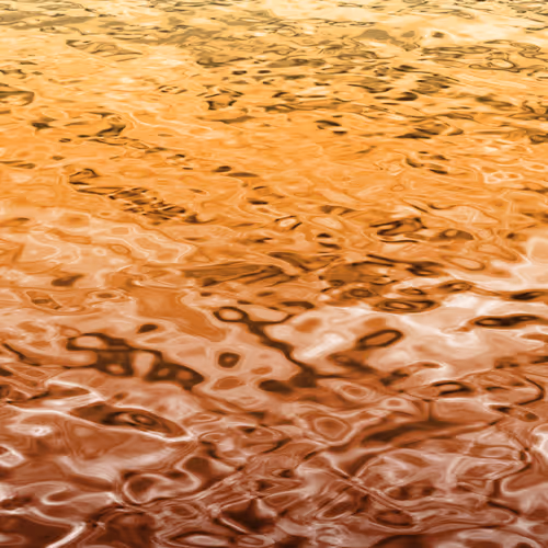 OpenSea banner for @Dispersed