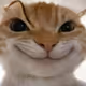 0x4cc8f688eeffe8afad4831280a71470ba02ed8f1