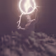 ZUZProtocol
