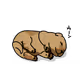 fjioe3023kopp