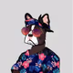 GroovyDogs