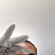 hafolz1