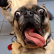 GreatGooglyMoogly