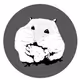 rodent_fun