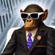 Iroh_Suited_Apes