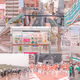 JapanPhotographicDocumentation