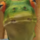 0x4da1b0298c9d4a56232d8fa8ba118c81c4ad1ce3
