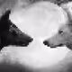 TheWolfBrothers