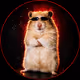 fakehamster