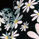 flower50