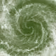 Spiral-Food-Forest