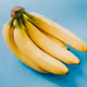 senjorplatanos