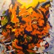 Romeu_Wolf