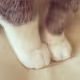 jourdan5633