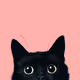 Will_RD