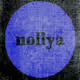 Nollya