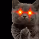 EthBtch