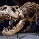 Dinoprosto
