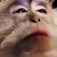 Spicy_Boy