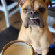 Cup_O_Norm