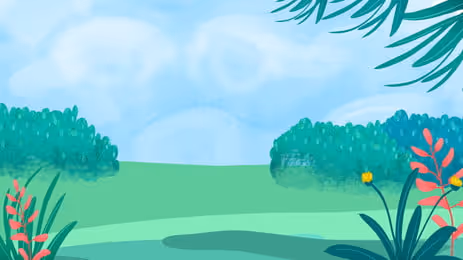 OpenSea banner for @PlsDonate