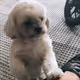 itscryptobubz