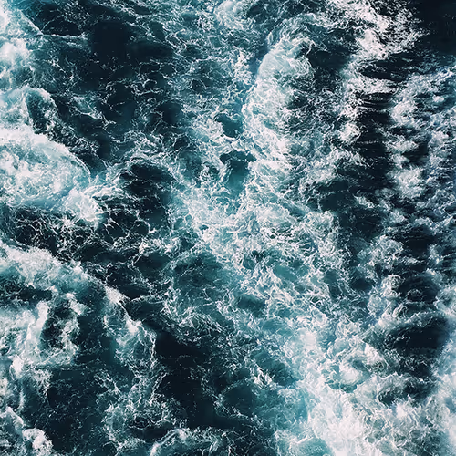 OpenSea banner for @Makara