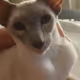 Pikmag