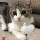 Savage_1337