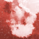 snowball595
