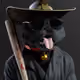 Garvi_Co