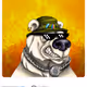pgfella