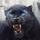 TheRealPanther