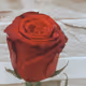 Mariegrs