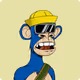 Hardey_1a