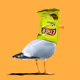 Jakaz-