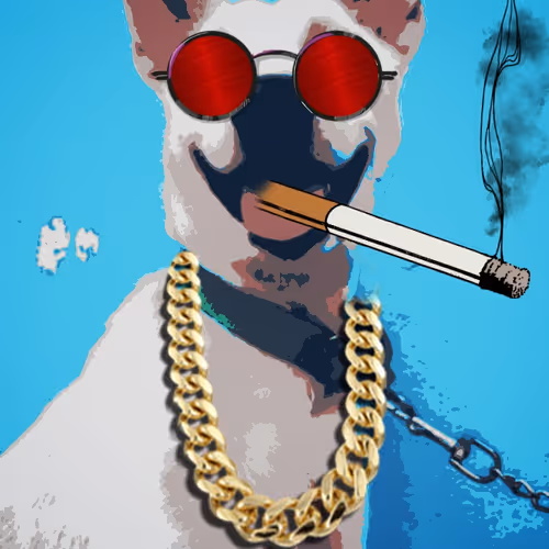 OpenSea profile picture for @Decoding