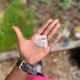 draco_handles