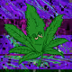 0x4f95228e8be2f6053d9e0401a3991a7812be00bb
