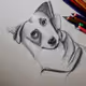 tamcr