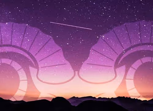 OpenSea banner for @shOrtcake