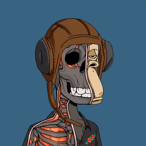 OpenSea profile picture for @duplex