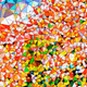 0x5012de0fa4579c708f328db7a250fc517acbbf08