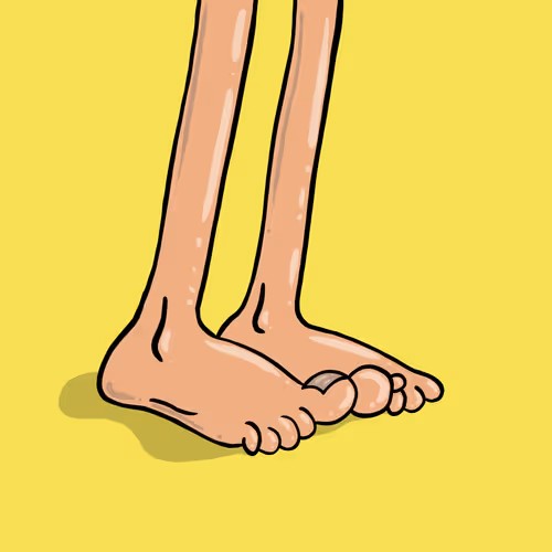 OpenSea profile picture for @Slippers