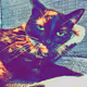 CocoCryptoCat