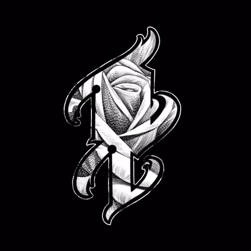 OpenSea profile picture for @ocampo