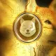 Shiba_Domain_Name