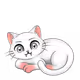 Sizecat_HODL